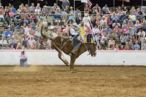 Dixie Roundup Rodeo 2013
