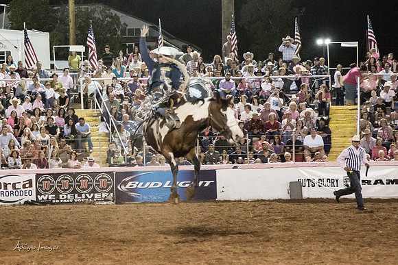 Dixie Roundup Rodeo 2013
