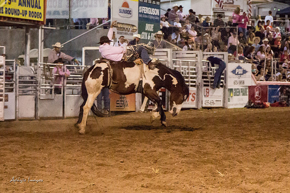 Dixie Roundup Rodeo 2013