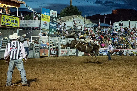 Dixie Roundup Rodeo 2013