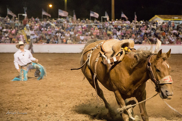 Dixie Roundup Rodeo 2013