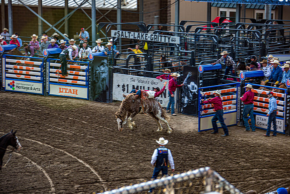 190723_Rodeo_063