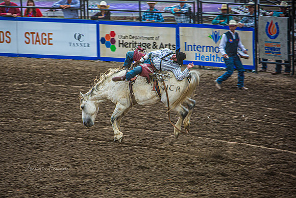190723_Rodeo_093