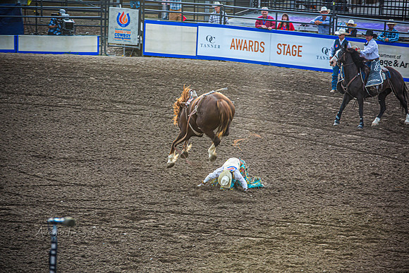 190723_Rodeo_088