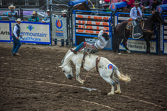 190723_Rodeo_091