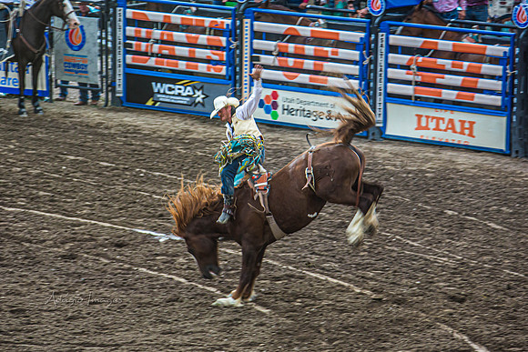 190723_Rodeo_080