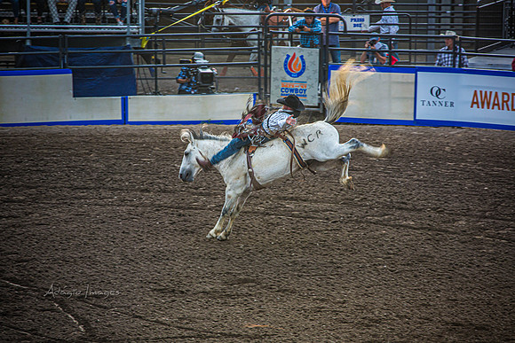 190723_Rodeo_098