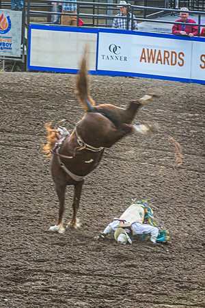 190723_Rodeo_089