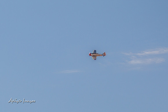 140726_Thunder2014_009