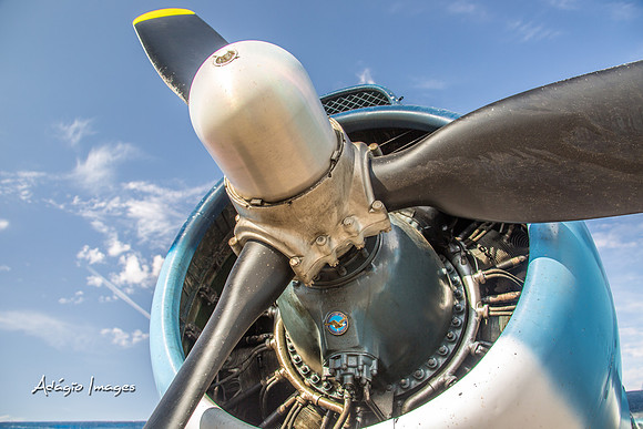 140726_Thunder2014_028