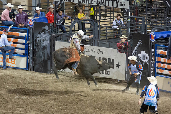 190723_Rodeo_918