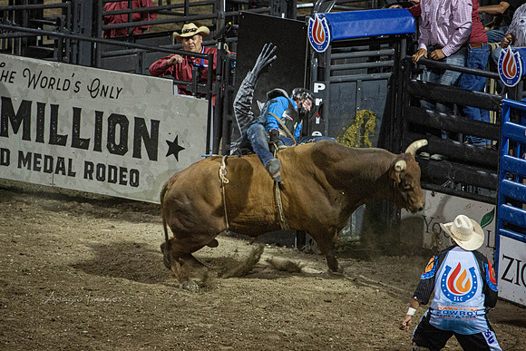 190723_Rodeo_929