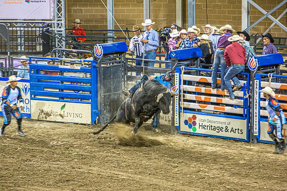 190723_Rodeo_869
