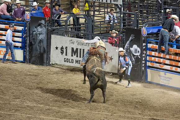 190723_Rodeo_915
