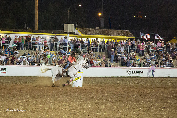Dixie Roundup Rodeo 2013