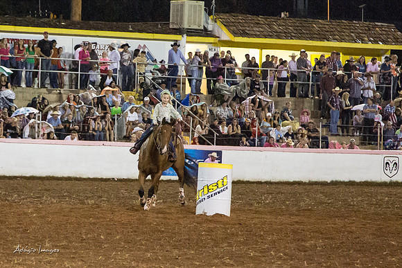 Dixie Roundup Rodeo 2013