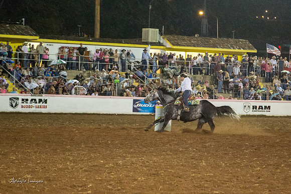 Dixie Roundup Rodeo 2013
