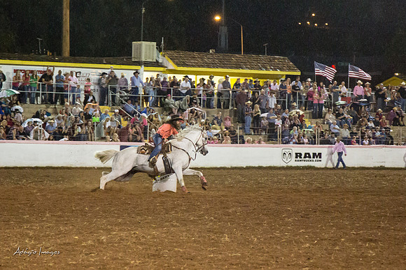 Dixie Roundup Rodeo 2013
