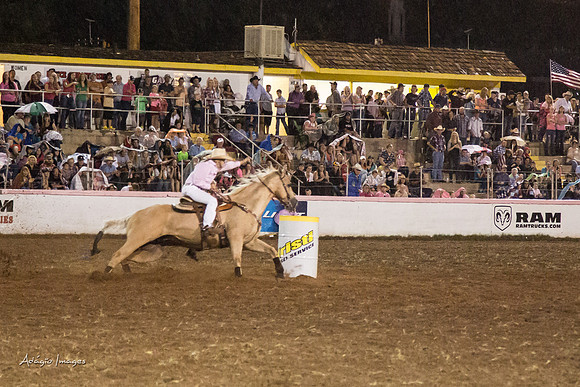 Dixie Roundup Rodeo 2013