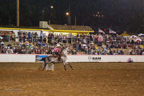 Dixie Roundup Rodeo 2013