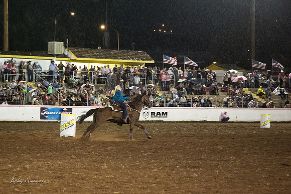 Dixie Roundup Rodeo 2013