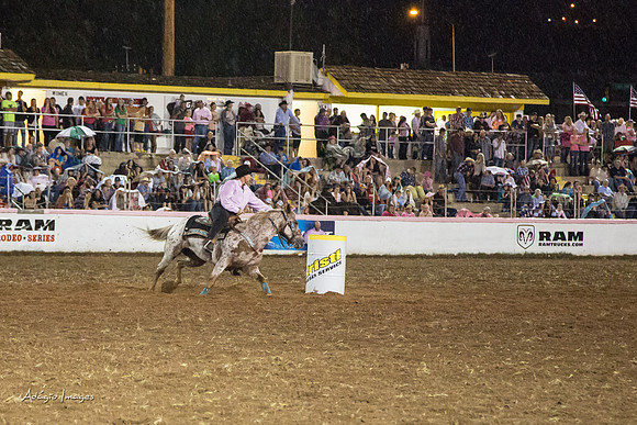 Dixie Roundup Rodeo 2013