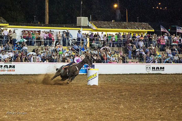 Dixie Roundup Rodeo 2013
