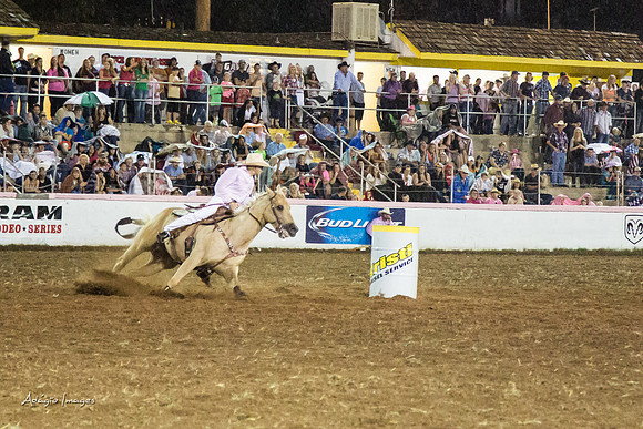 Dixie Roundup Rodeo 2013