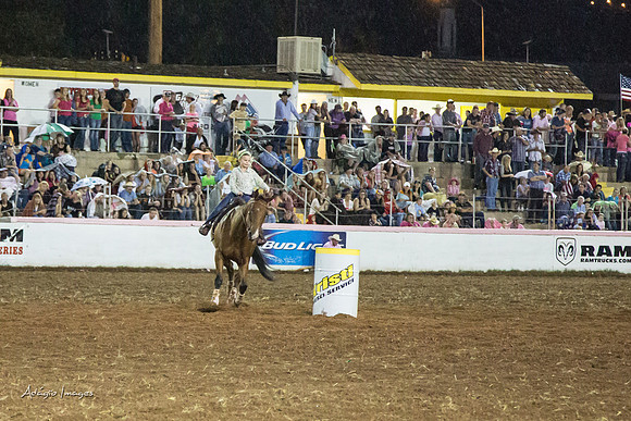 Dixie Roundup Rodeo 2013