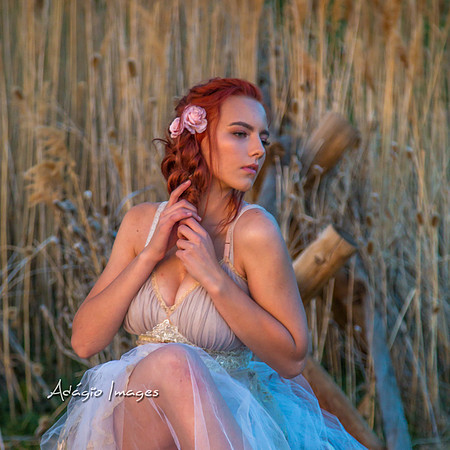 Bella Morgan