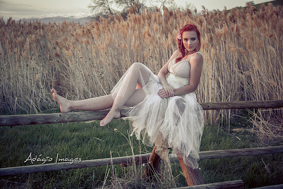 Bella Morgan