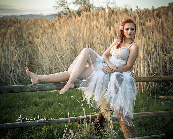 Bella Morgan