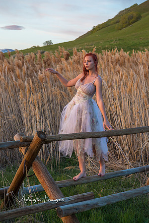 Bella Morgan