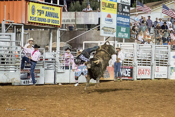 Dixie Roundup Rodeo 2013