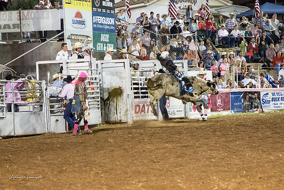 Dixie Roundup Rodeo 2013