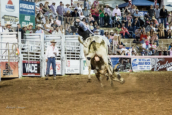 Dixie Roundup Rodeo 2013
