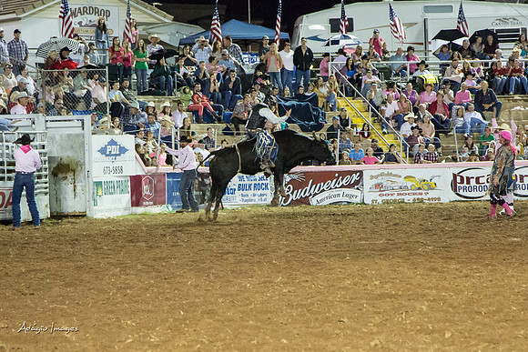 Dixie Roundup Rodeo 2013