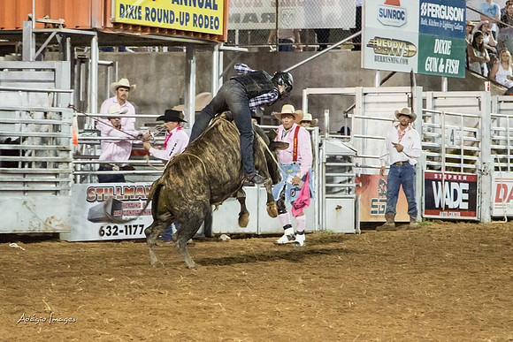 Dixie Roundup Rodeo 2013