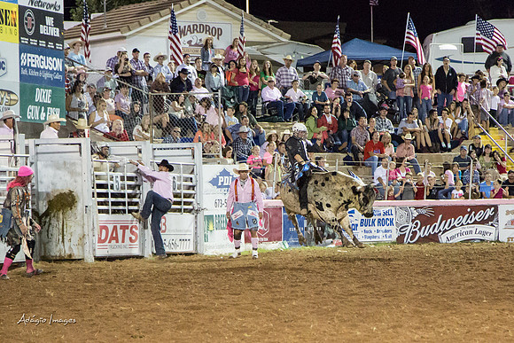 Dixie Roundup Rodeo 2013