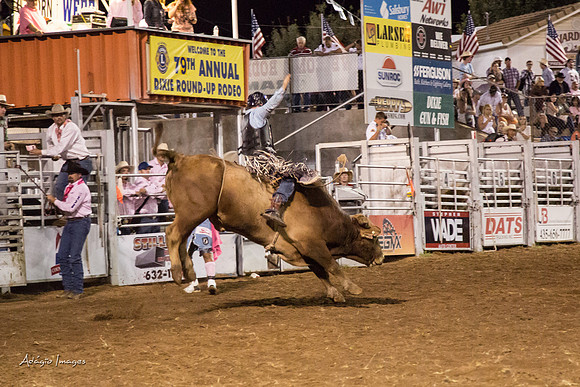 Dixie Roundup Rodeo 2013