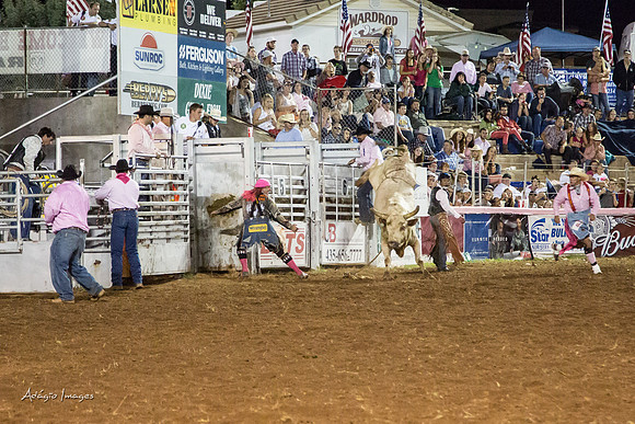 Dixie Roundup Rodeo 2013