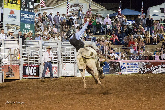 Dixie Roundup Rodeo 2013