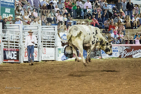 Dixie Roundup Rodeo 2013