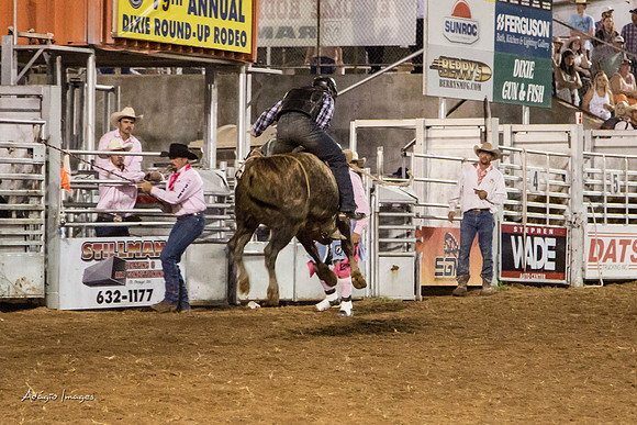 Dixie Roundup Rodeo 2013