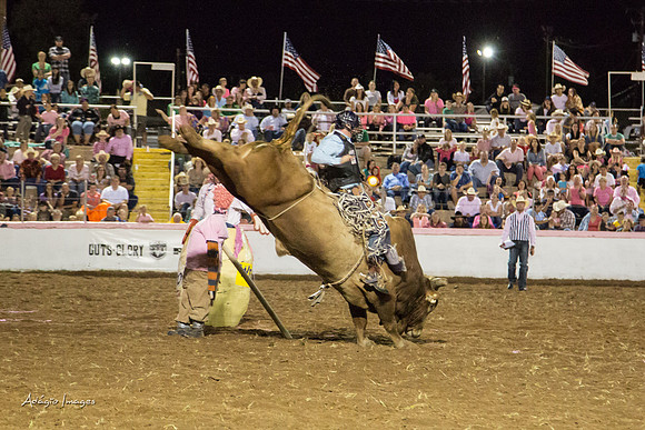 Dixie Roundup Rodeo 2013