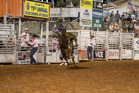 Dixie Roundup Rodeo 2013