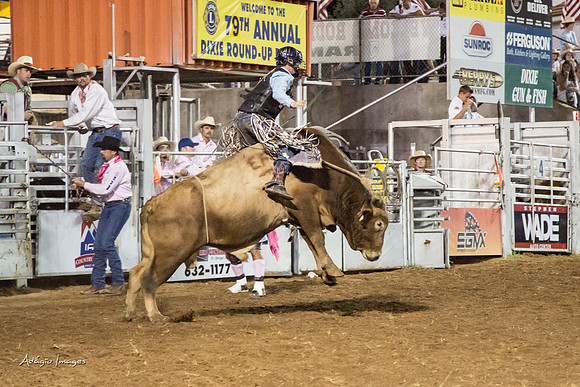 Dixie Roundup Rodeo 2013
