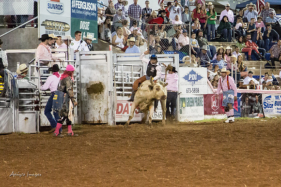 Dixie Roundup Rodeo 2013