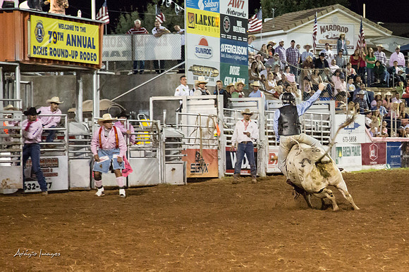 Dixie Roundup Rodeo 2013