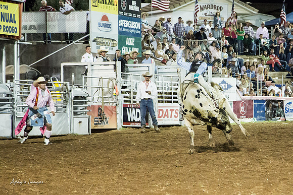 Dixie Roundup Rodeo 2013